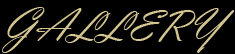 ギャラリー